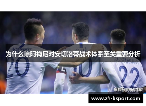 为什么琼阿梅尼对安切洛蒂战术体系至关重要分析 为什么琼阿梅尼对安切洛蒂战术体系至关重要分析