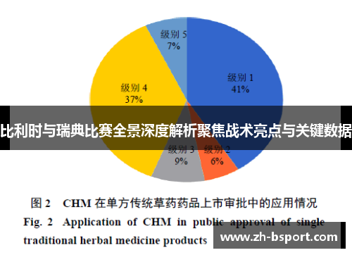 比利时与瑞典比赛全景深度解析聚焦战术亮点与关键数据