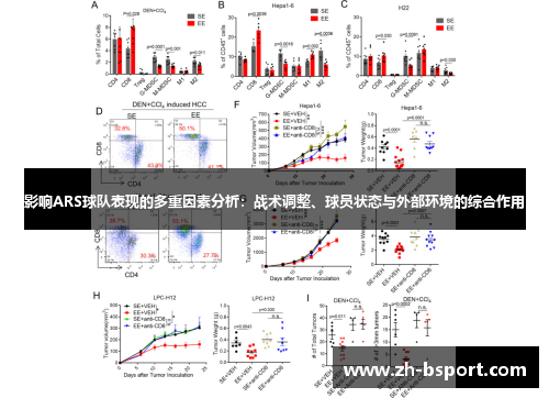 影响ARS球队表现的多重因素分析:战术调整、球员状态与外部环境的综合作用 影响ARS球队表现的多重因素分析:战术调整、球员状态与外部环境的综合作用