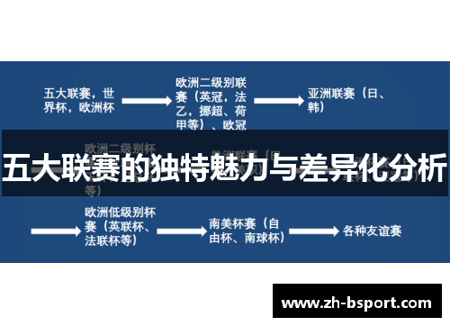 五大联赛的独特魅力与差异化分析 五大联赛的独特魅力与差异化分析