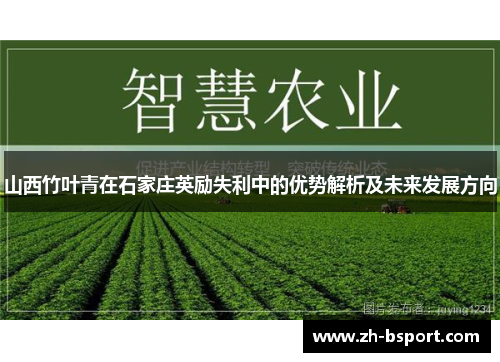 山西竹叶青在石家庄英励失利中的优势解析及未来发展方向